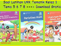 Download Soal Soal UKK Tematik Kelas 1 SD Tema 5 6 7 8